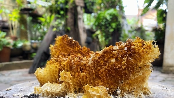 The big buzz around Irish honey