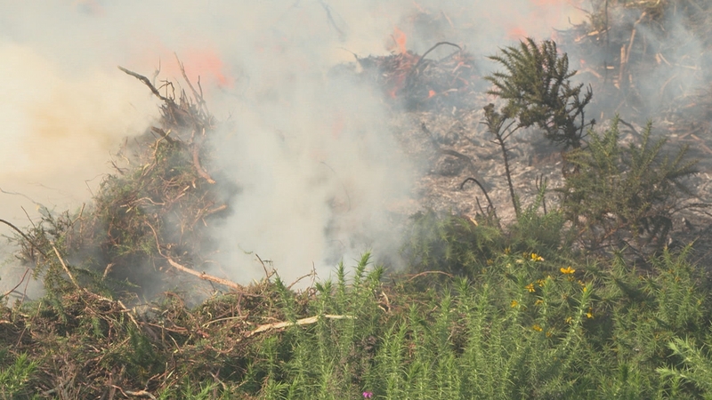 The Department of Agriculture issued an orange alert yesterday, based on 'weather patterns and expected level of risk'