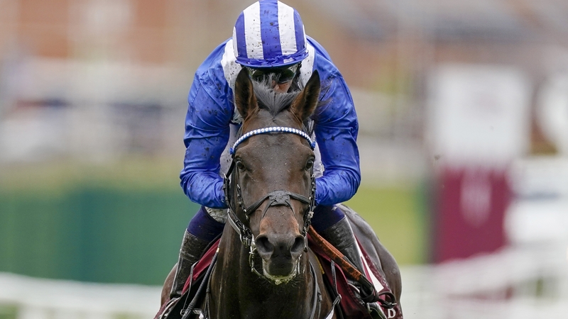 Al Aasy has been beaten in tight finishes in his two most recent outings