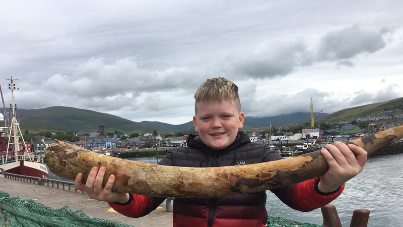Cathal Ó Flannúra with the tusk discovered by the Dingle based Cú na Mara in the Porcupine Basin
