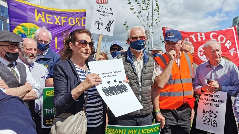 The IFA says that there are almost 6,000 forest licences caught in the backlog (Pic: RollingNews.ie)