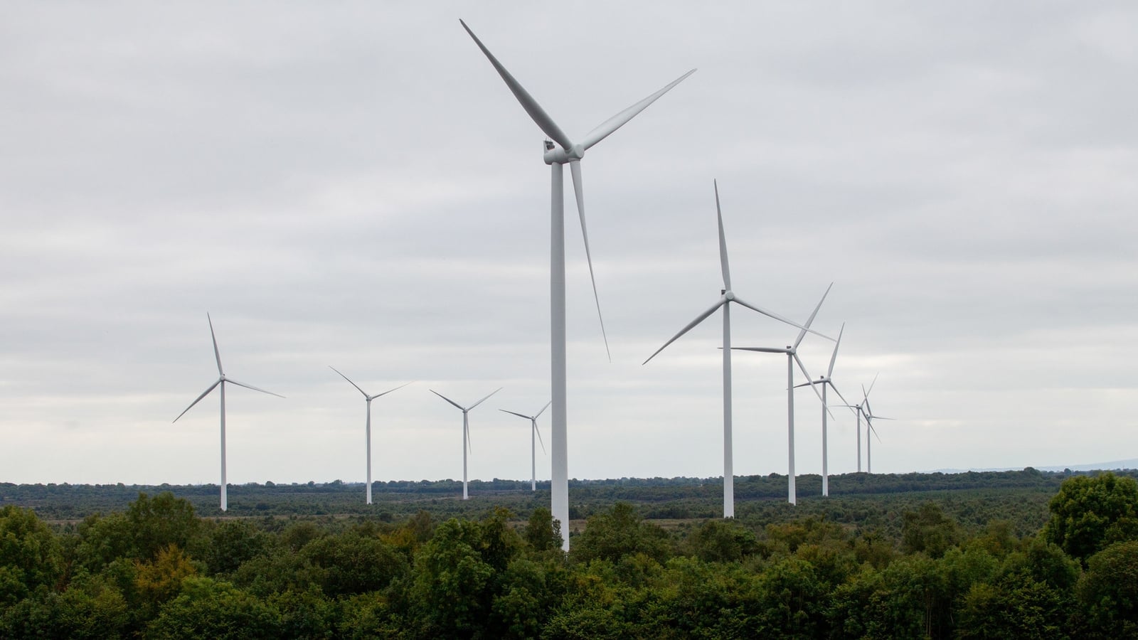 Wind Energy Ireland report flags slowdown in planning approvals