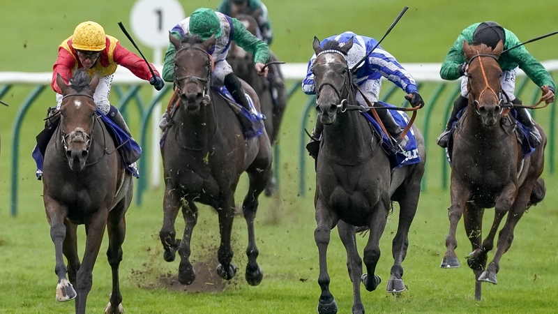 Angel Power (blue and white silks) is prepping for the Prix Jean Romanet