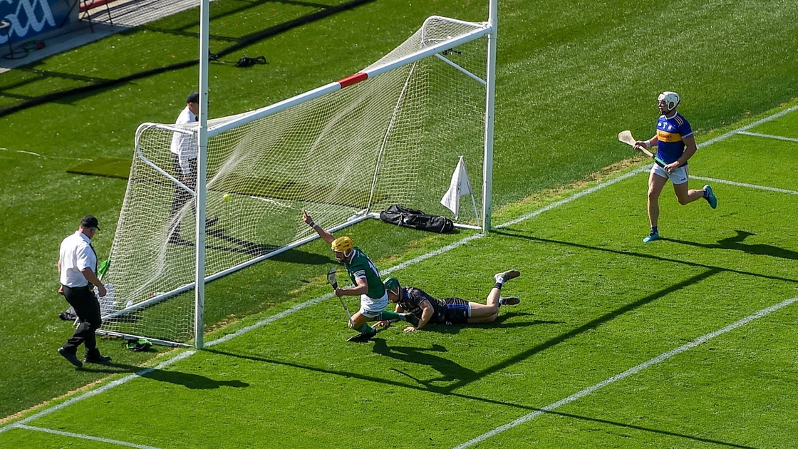 Seamus Flanagan's goal set the Limerick fightback in motion