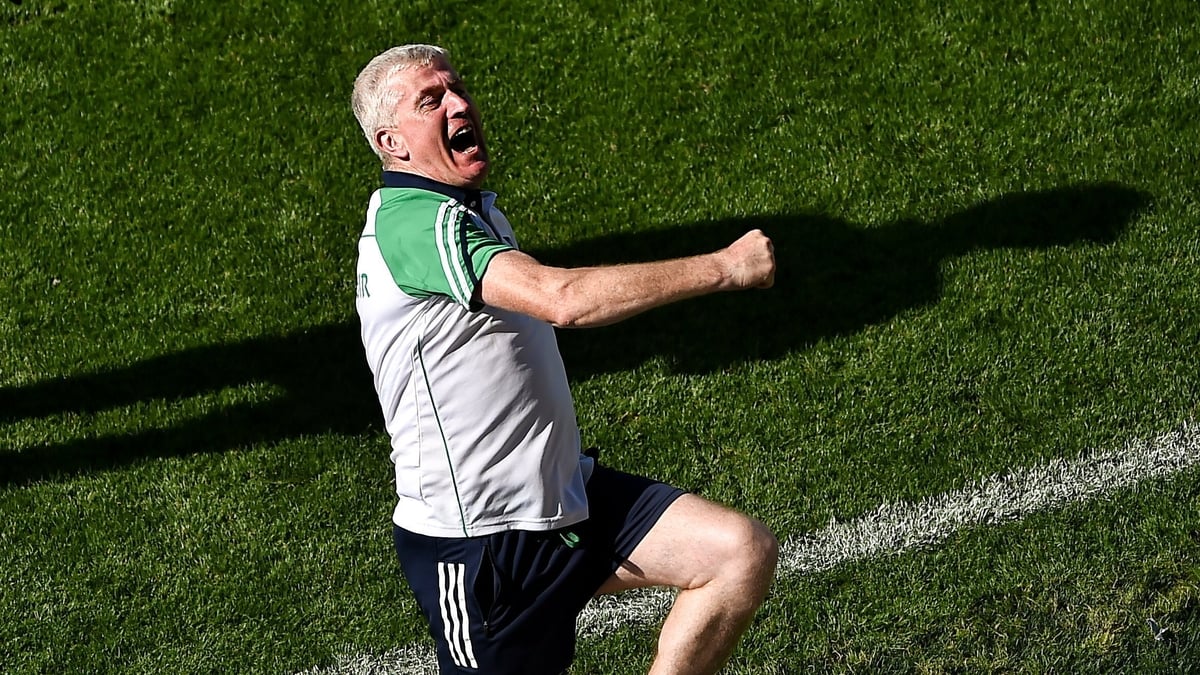 Limerick hurling manager