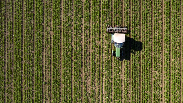 "Soils can vary drastically from one another, even to those that are right beside each other, as the correct fertiliser application for one field might not be right for its neighbour." Photo: Getty Images