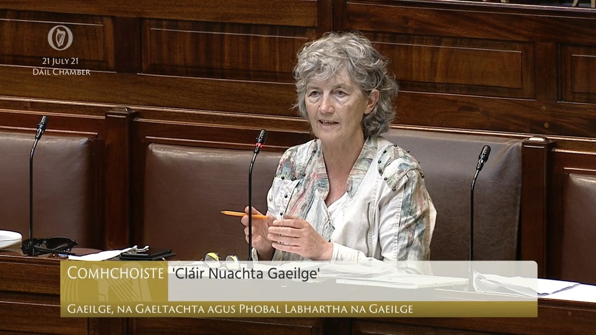 Cruinniu de Chomh Choiste Gaeilge an Oireachtais. 