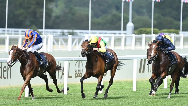 Love ridden by Ryan Moore (far side) won the Prince Of Wales's at Royal Ascot on her seasonal reappearance in June