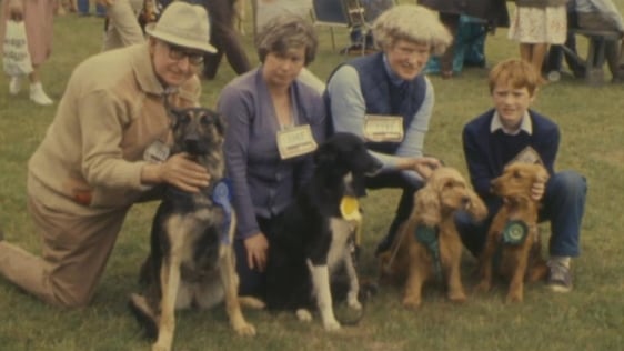 Monkstown Championship Dog Show (1981)