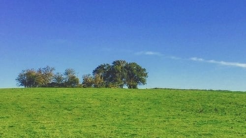 A ringfort in Co Tipperary: "looking down from a plane, you'll see these circles dotted across Ireland".