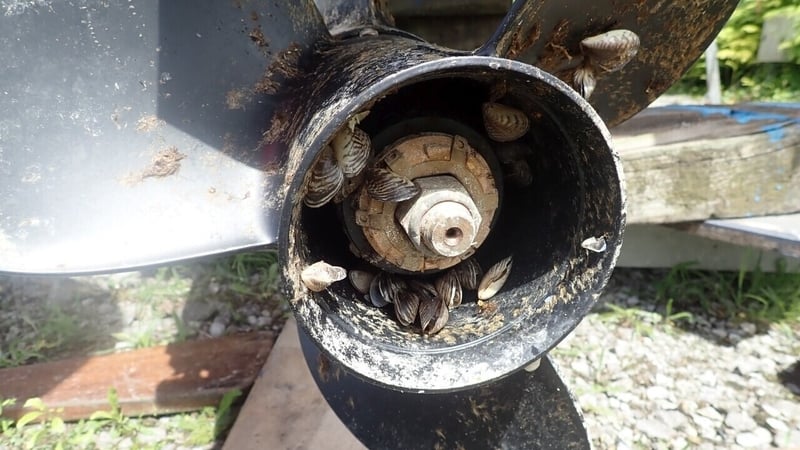 Boat and watercraft users are being asked to clean all equipment and vessels before moving between waterways