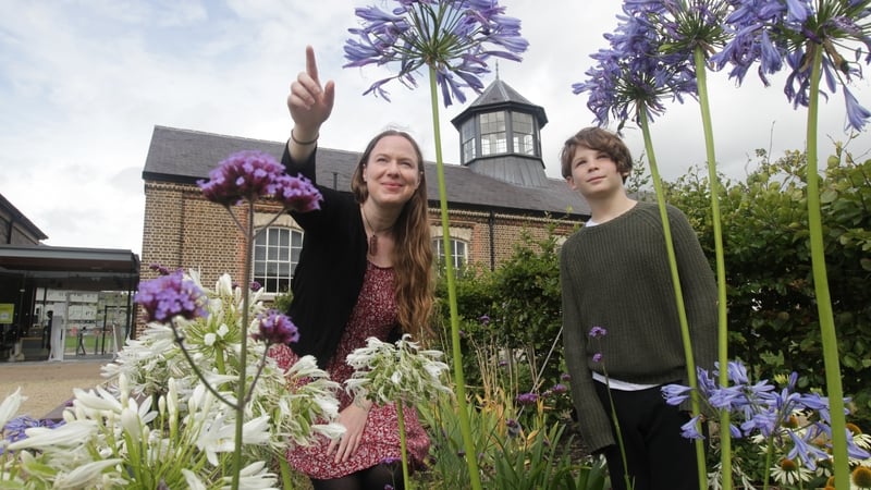 Historian-in-Residence for Children Dervilia Roche