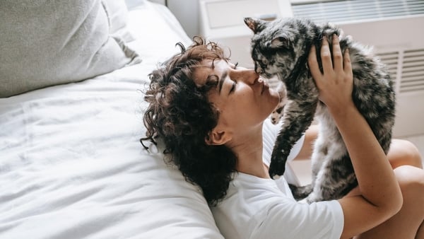 Understanding cat