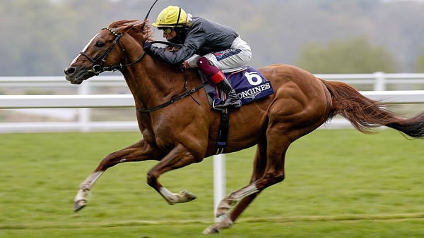 Frankie Dettori partnered Stradivarius for 15 of his 20 race wins