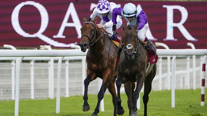 Alcohol Free prevailed in the battle of the Royal Ascot winners