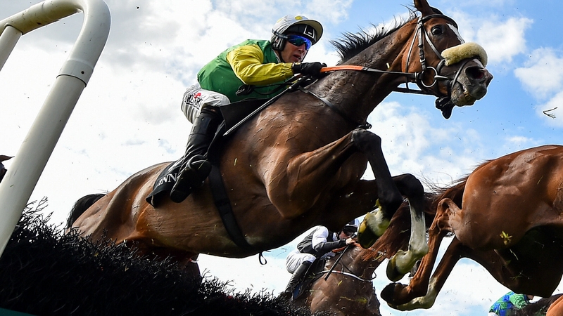 Tudor City won the Galway Hurdle in 2019