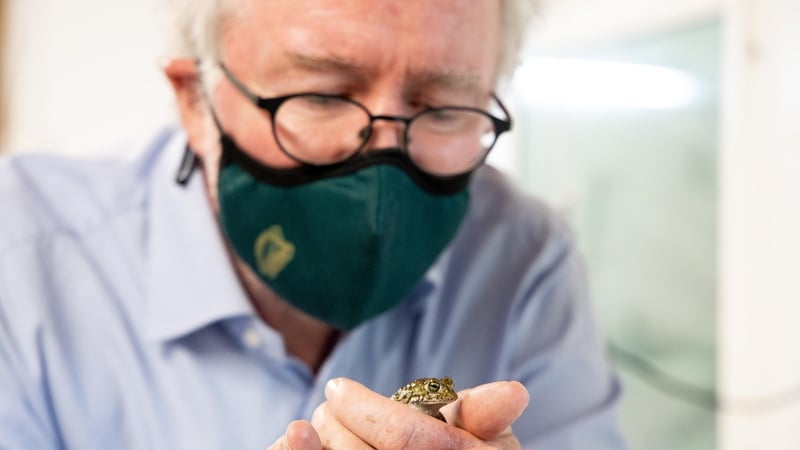 Minister of State for Heritage Malcolm Noonan with a Natterjack toadlet