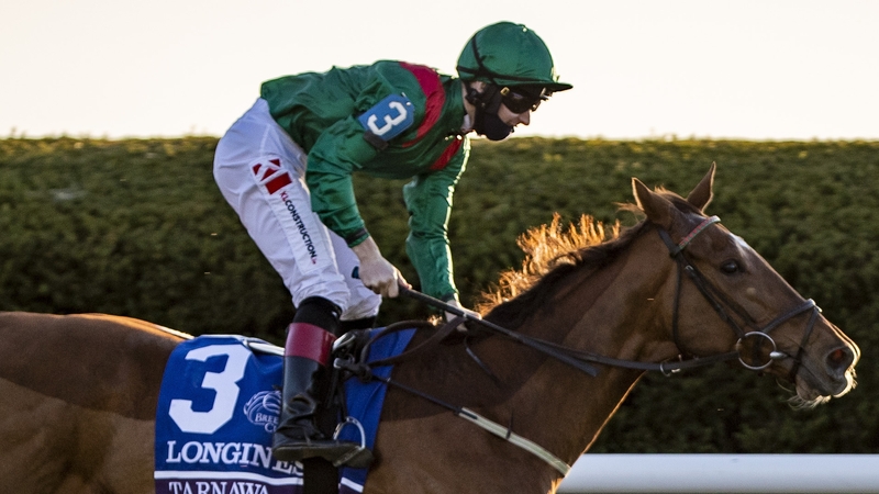 Tarnawa is second favourite for the Prix de l'Arc de Triomphe