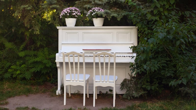 The new guidelines say live music and other performances are permitted outdoors