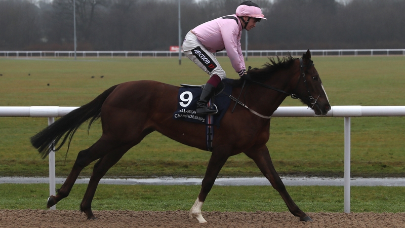 Celerity being ridden by Andrew Mullen in 2017