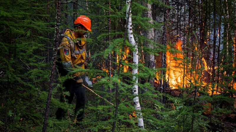 Wildfires have produced a record amount of carbon emissions Yakutia, Siberia