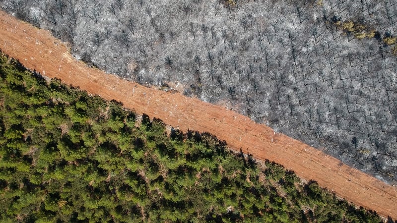 Earlier this week an EU atmosphere monitor has said the Mediterranean has become a wildfire hotspot