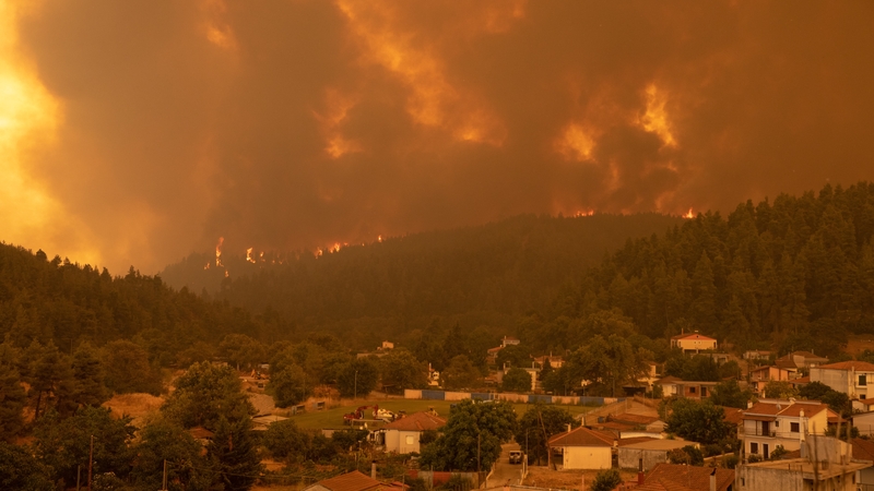 The storms killed 17 people, swallowed cotton crops and fruit trees and killed hundreds of thousands of animals on Greece's breadbasket