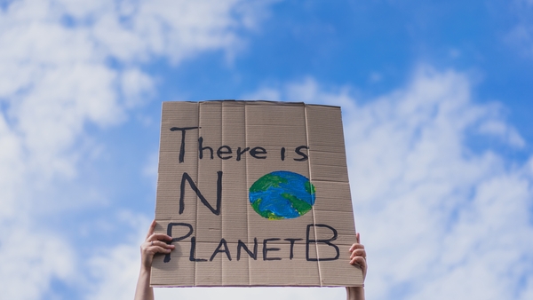 36% of respondents don't believe their organisation is doing a good enough job when it comes to environmental and social sustainability