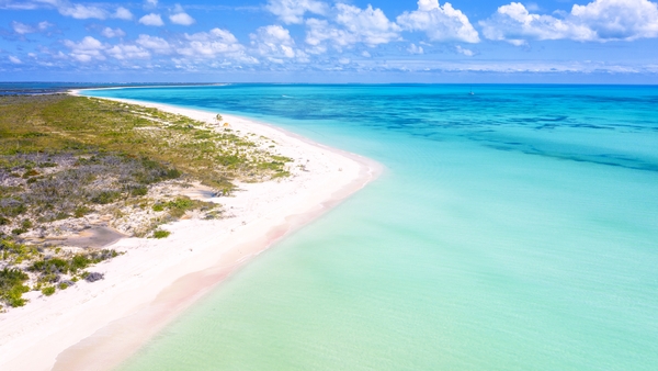 Small island states most vulnerable to the effects of climate change have called on the world to save 'our very future'
