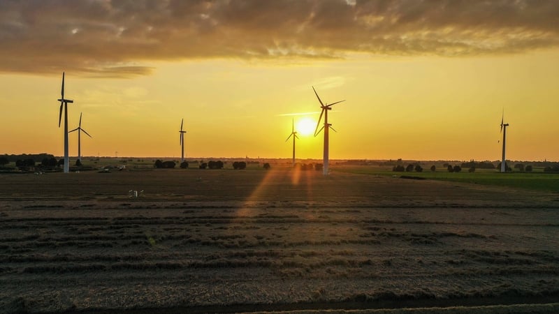 Experts will research how to address climate and biodiversity emergencies