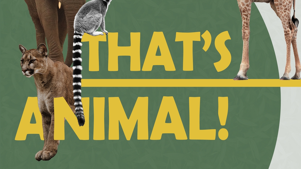 Episode 1: Asian Elephant