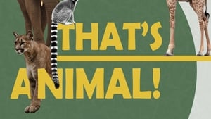 That's Animal! show image