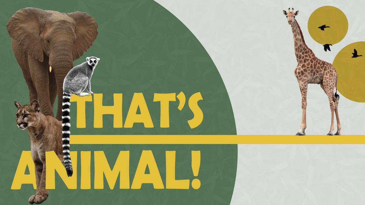 That's Animal