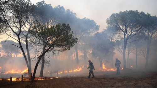 Firefighters battle wildfires in southern France