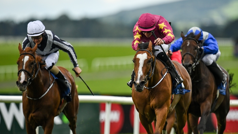 Hopes are high for Thundering Nights