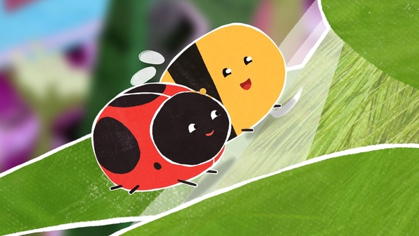 Colour in the world of Ladybird & Bee