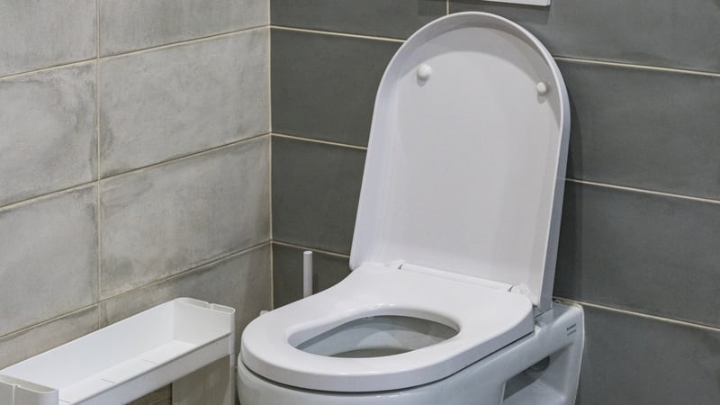 Only flush the three Ps - pee, poo and paper