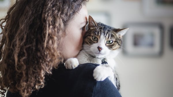 Where did the 'crazy cat lady' stereotype come from and when will it leave?