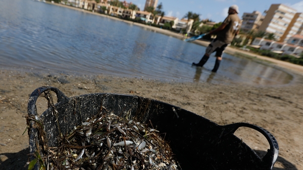 Regional officials said they had removed between 4.5 and 5 tonnes of remains