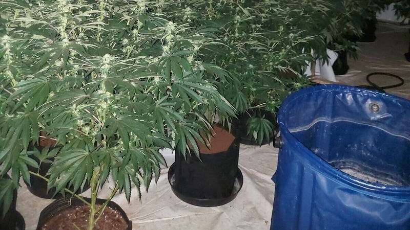 Three men, aged in their 20s, 30s and 40s were arrested during the operation