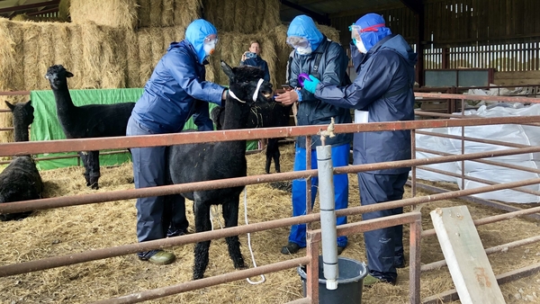 Police confirmed they supported the Animal and Plant Health Agency in executing a court warrant