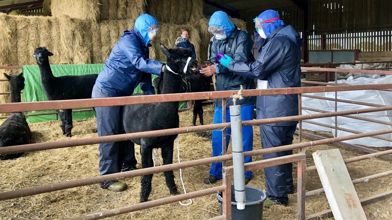 Police confirmed they supported the Animal and Plant Health Agency in executing a court warrant