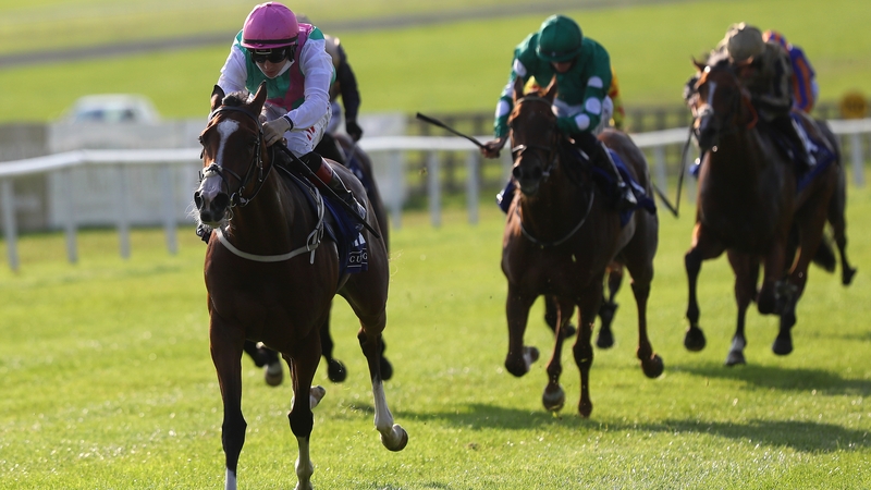 Sacred Bridge was favourite for the Cheveley Park Stakes at Newmarket but disappointed on the day