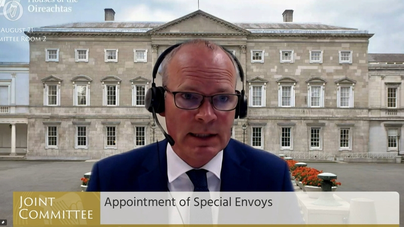Mr Coveney was addressing the Oireachtas Joint Committee on Foreign Affairs and Defence today
