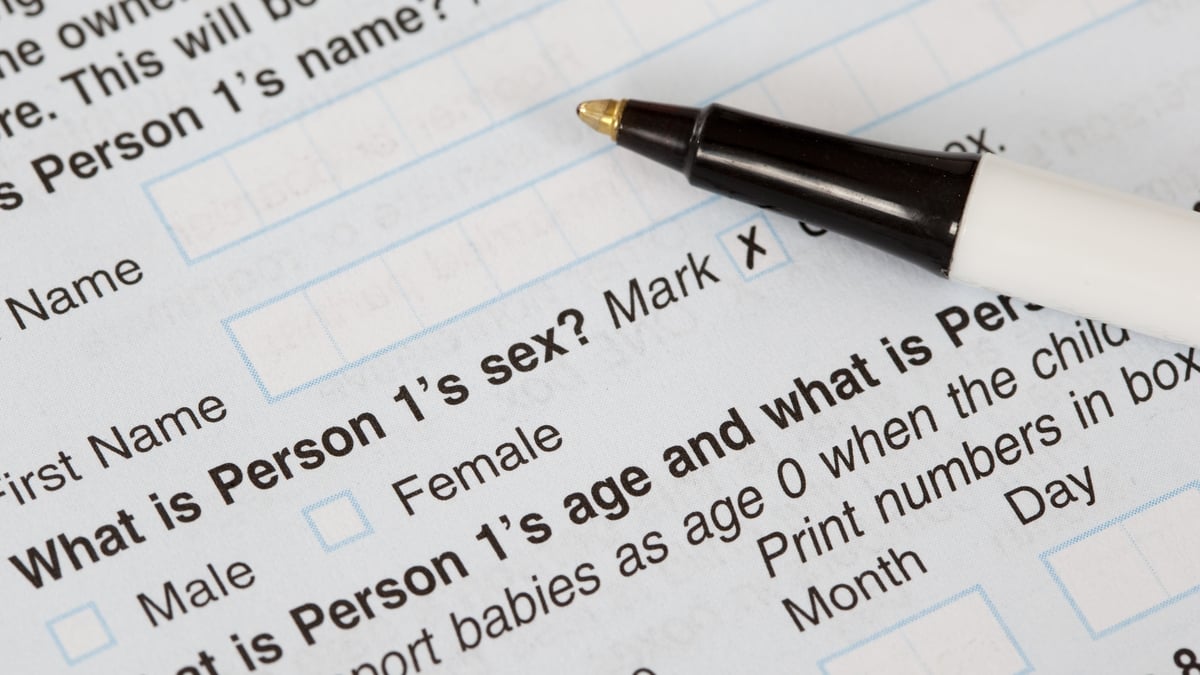 An Optimist's Guide to The Census Data 