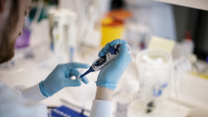 The CMO has said all individuals should consider themselves potentially infectious (file image)