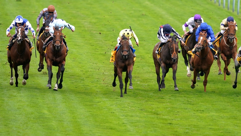 Emaraaty Ana (yellow silks with black polka dots) scores at Haydock