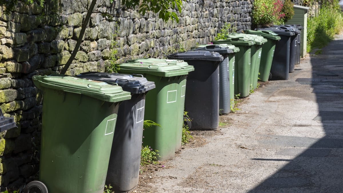 Bin Collection