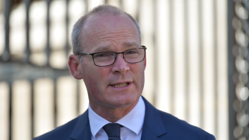 Simon Coveney is facing sustained pressure over a proposed UN envoy role for Katherine Zappone