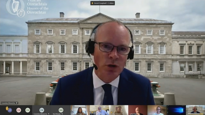 Documents show that Katherine Zappone thanked Simon Coveney for the opportunity on 4 March